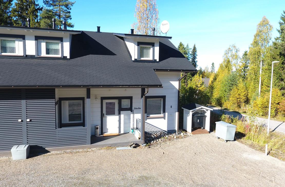 Saniaistie  ulkokuva 2