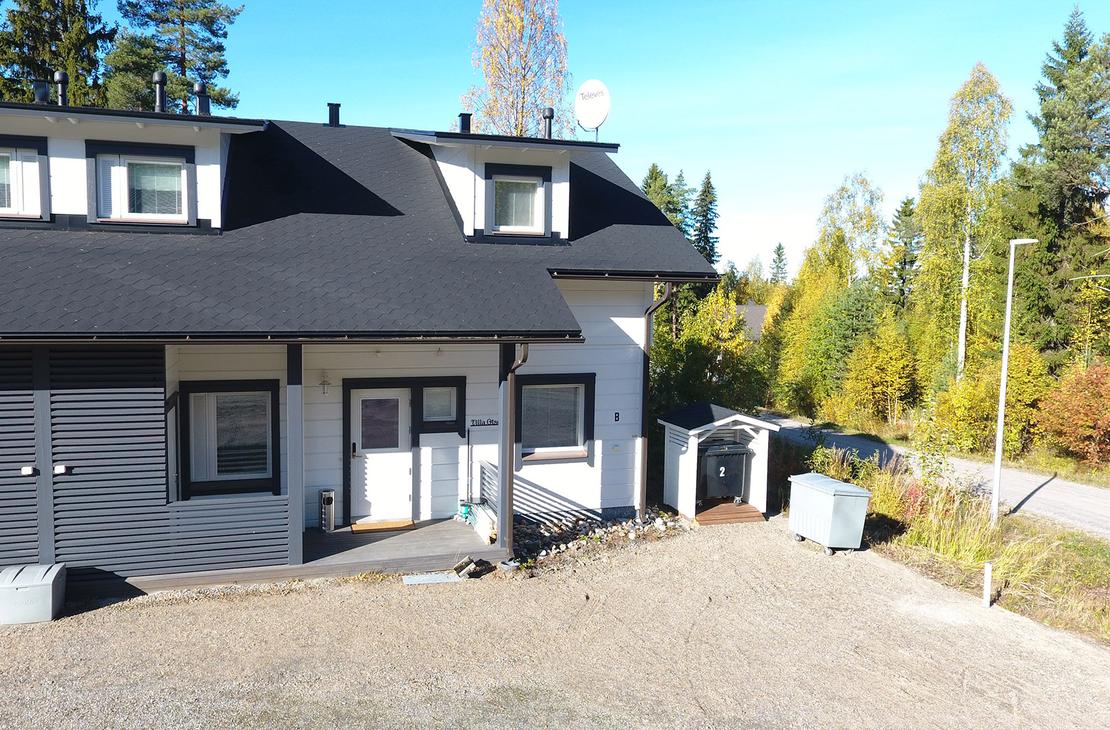 Saniaistie ulkokuva 2