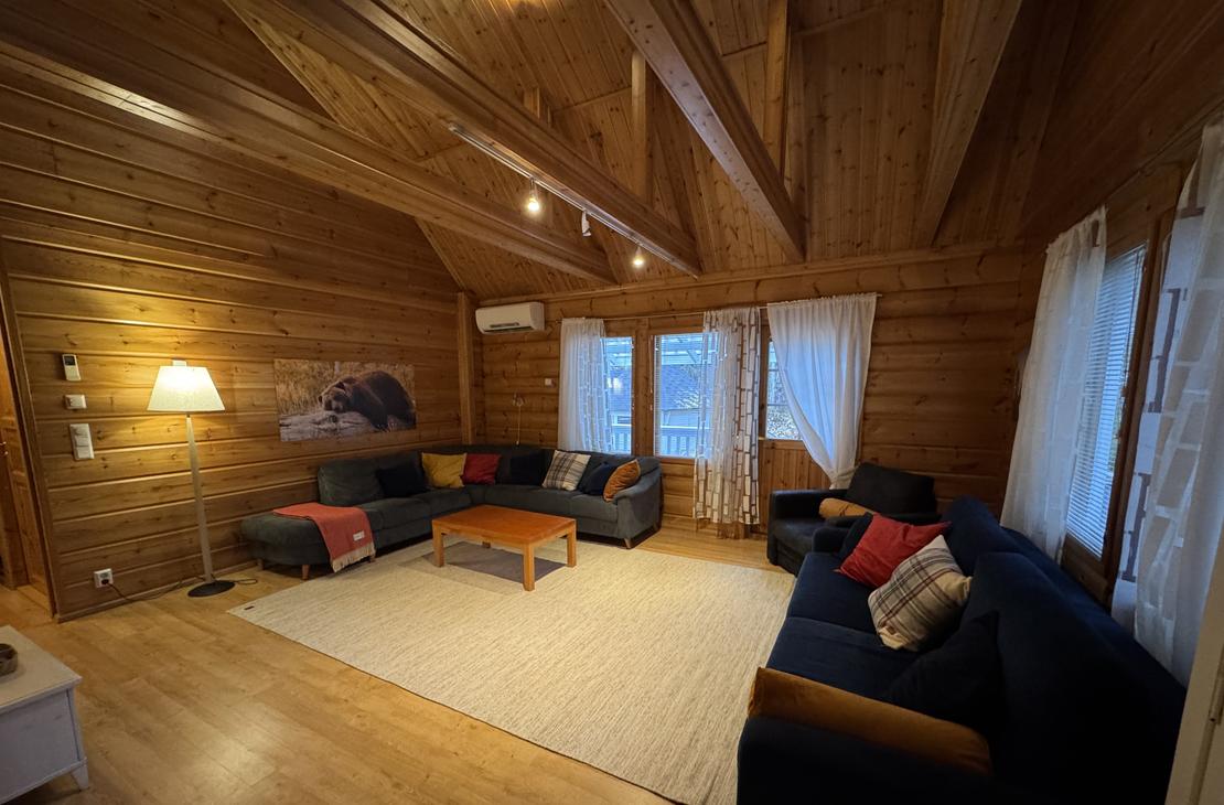 Lumekkaantie 4B olohuone