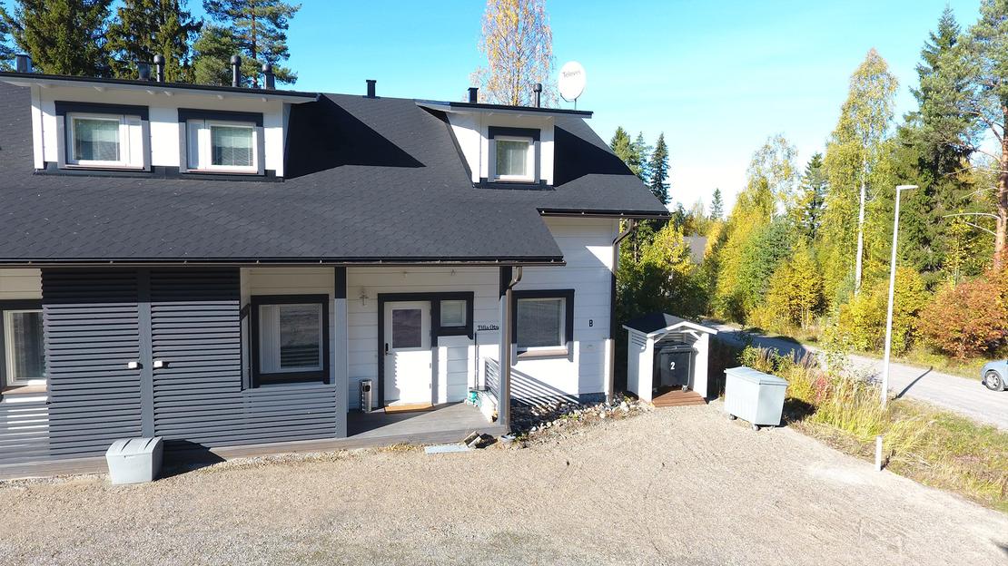 Saniaistie ulkokuva 2